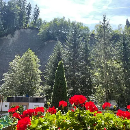Appartement Jaggi Hopfgarten im Brixental